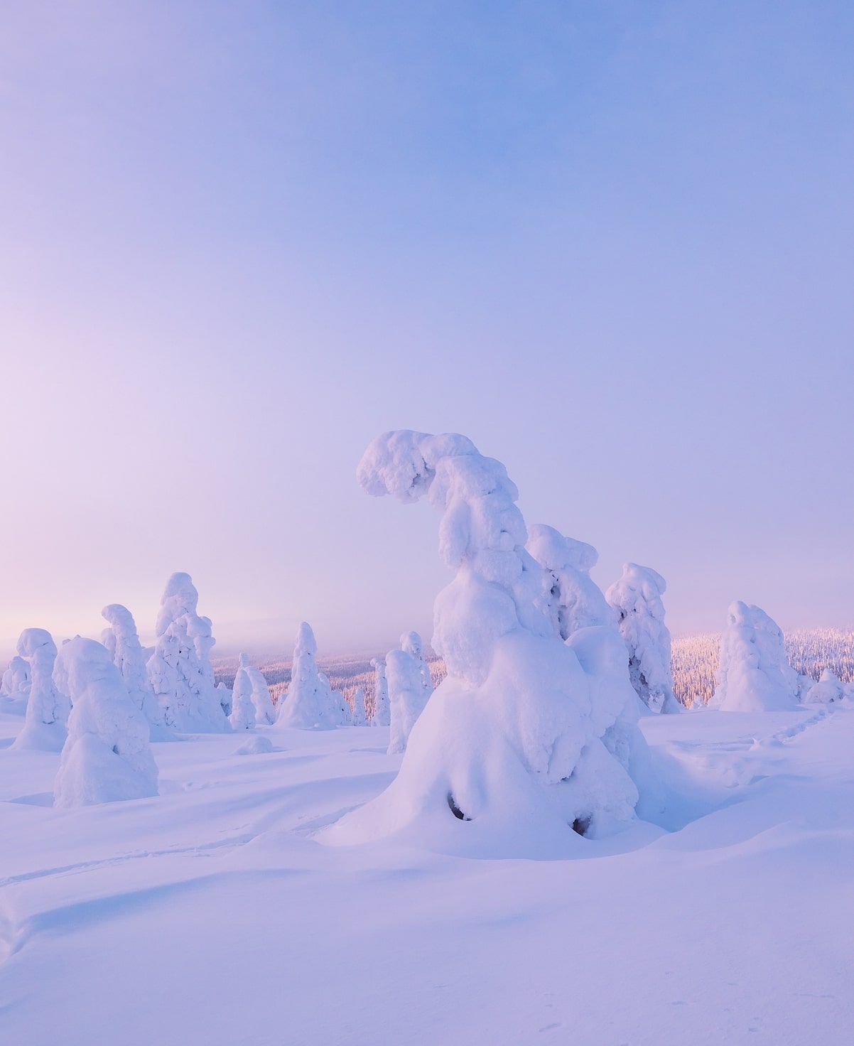 Yllas, a ski resort in Finland.